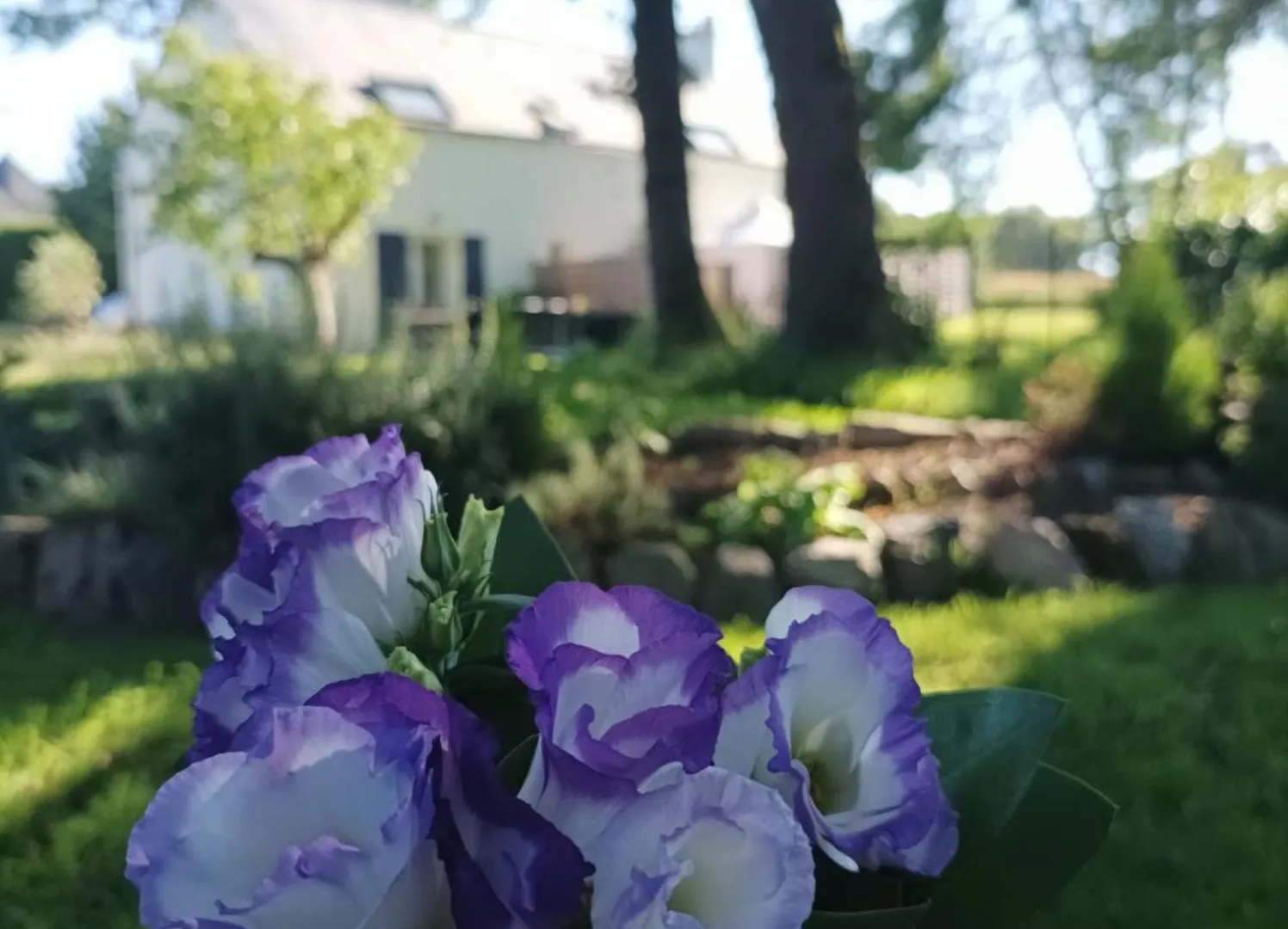 Le Tigite B&B: Private Terrace & Multi-Room Retreat Allaire 0*,